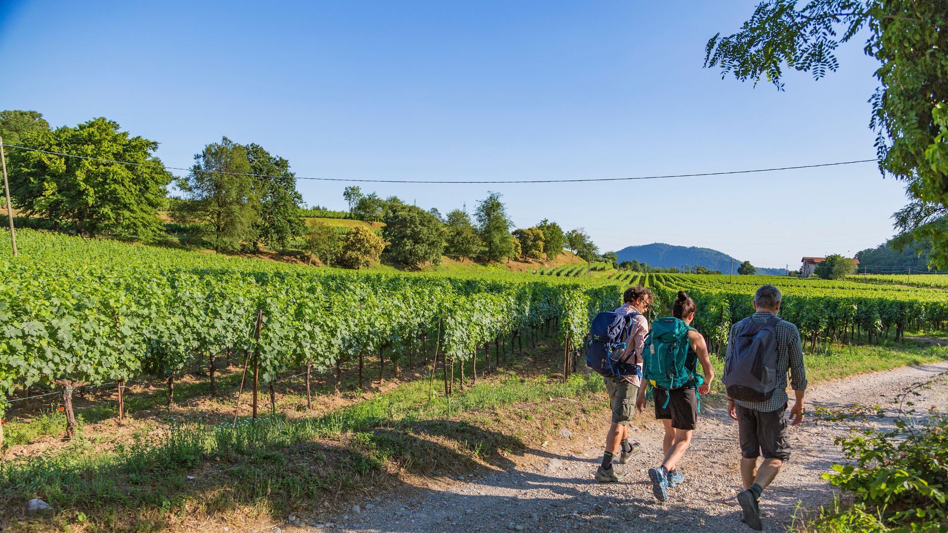 Slow Ride Italy Trek